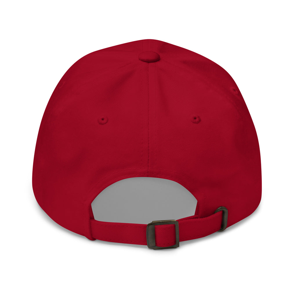 20 & Out Dark Dad hat in Cranberry, back, Twenty & Out