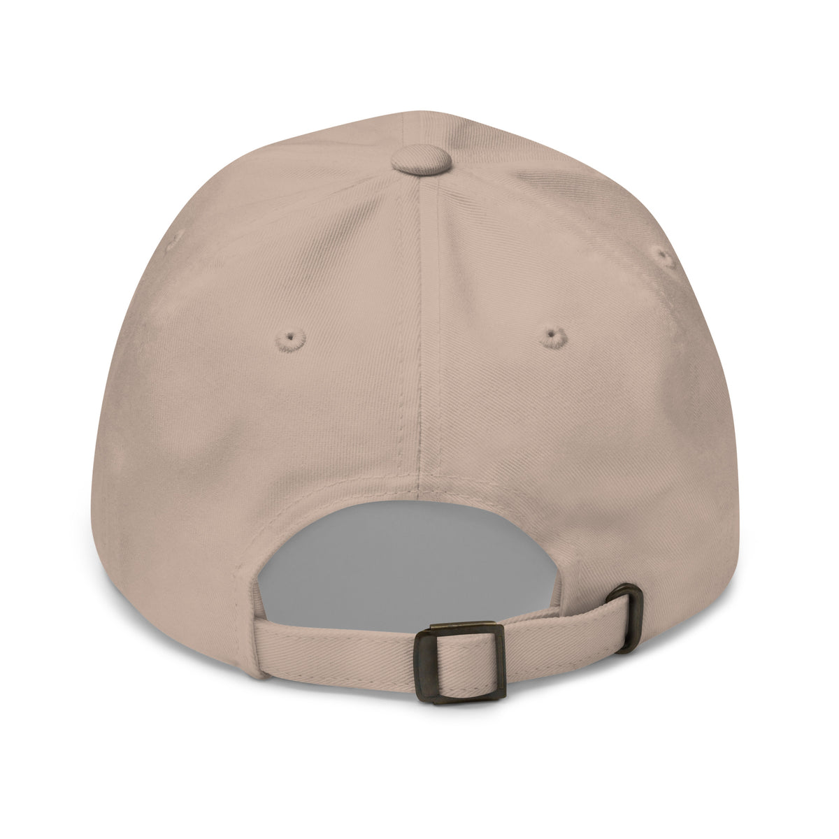 20 & Out Light Dad hat in Stone, back, Twenty & Out